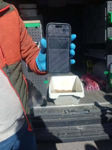 654299223 898654519796342 1899410363572976403 n