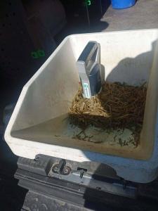 654426280 898654436463017 7097137531417135924 n